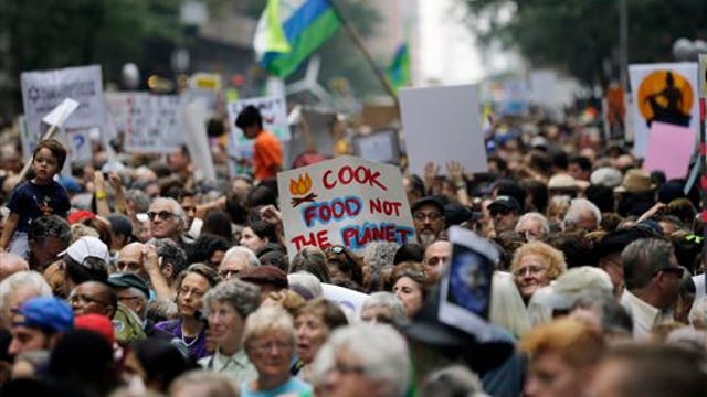 Protesters becoming agitated at march for climate change