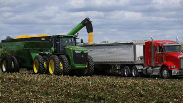 How will a record corn harvest impact your shopping bill?