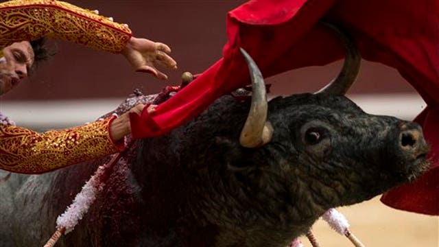PETA defends Spain Bull-Run swap