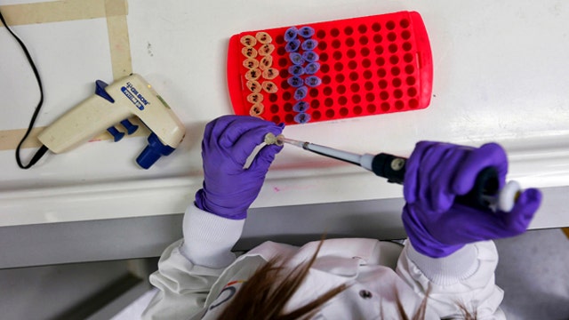 Stepping up efforts to develop an Ebola vaccine