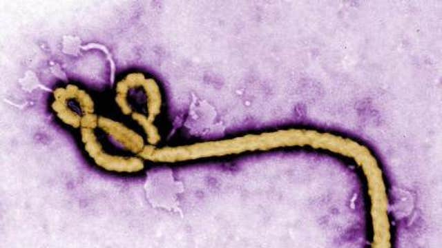 How long can the Ebola virus survive?