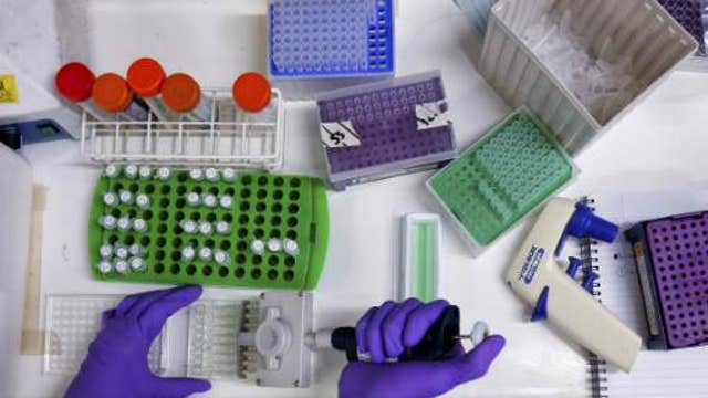 Canada to send experimental Ebola vaccine to WHO