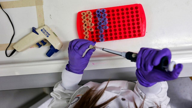 The race to find an Ebola vaccine