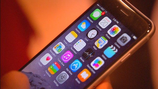 A new study predicts one in three mobile-deivce owners will use their gadgets to shop during the holiday season.