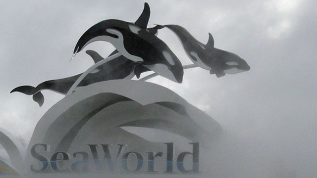 Seaworld 3Q earnings top estimates