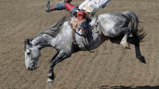 World Champion Cowboy Joe Beaver on the National Finals Rodeo