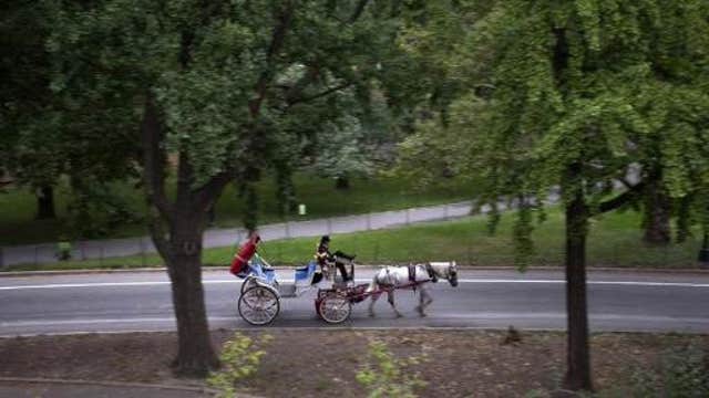 Horse carriage ban coming to New York City?