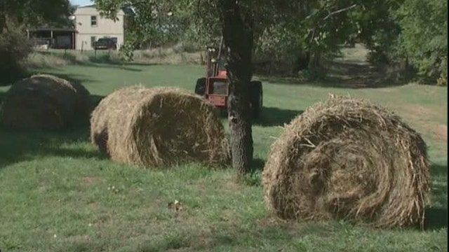 Missouri Farms Face Rise in Hay Theft