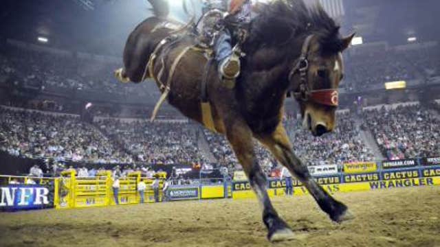 Joe Beaver on the 2014 National Finals Rodeo