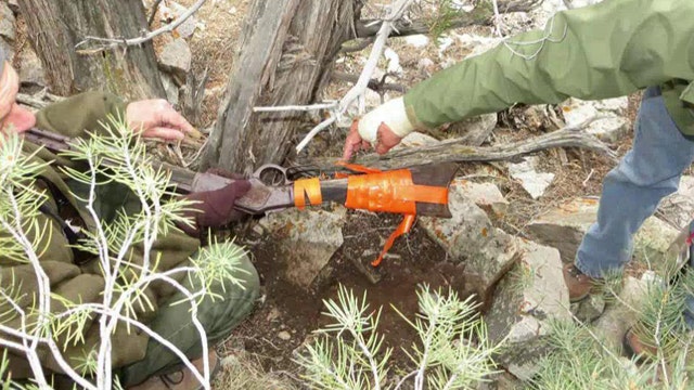 Archaeologists find 132-year-old rifle leaning against tree