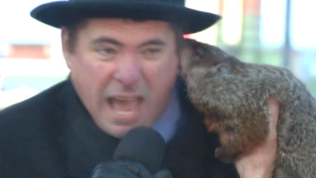 Jimmy the groundhog bites mayor in Wisconsin