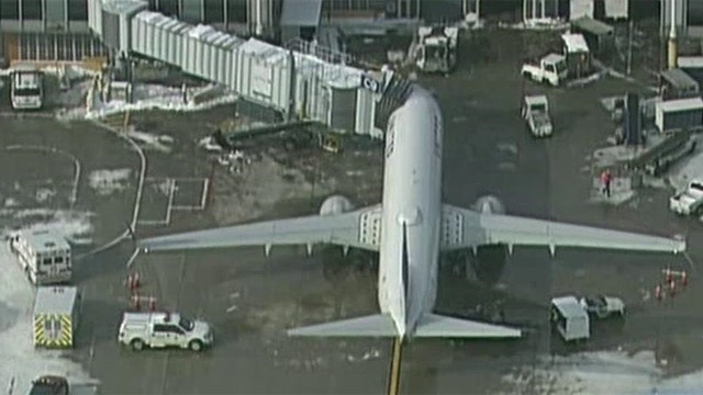 Flight forced to return to Chicago due to sick passengers