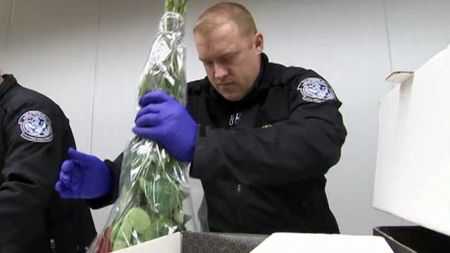 Why Customs inspectors frisk your Valentine's Day flowers