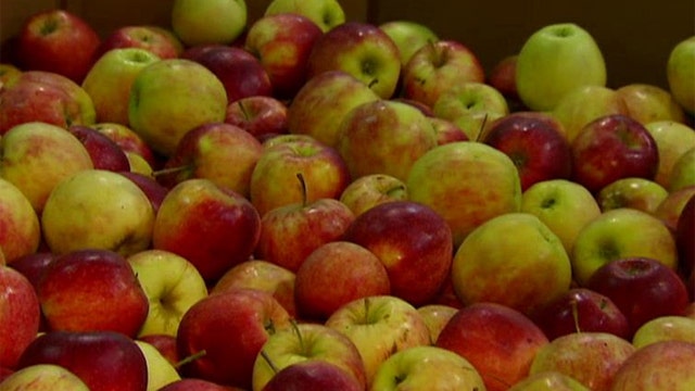 Genetically modified apples approved for sale in US
