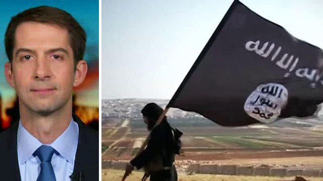 Tom Cotton describes military's response to Obama's summit