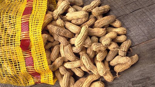 Study: Exposing some infants peanuts may prevent allergies