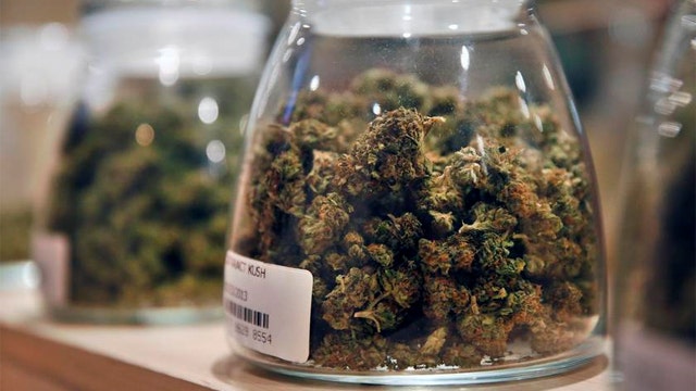 Pot study claims weed is the safest common drug