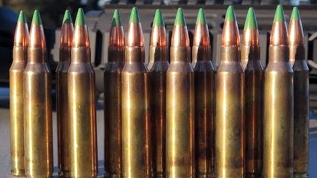 Nearly half of House members oppose proposed bullet ban
