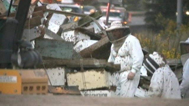 Millions of bees swarm highway after truck accident