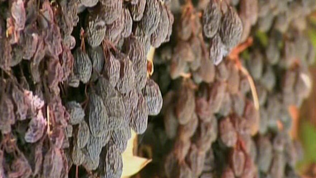 Raisin farmer taking USDA to high court over regs