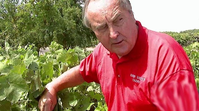 Fight between raisin farmer and gov't heads to Supreme Court