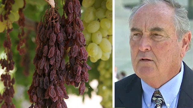 Implications of Supreme Court legal battle over raisins 