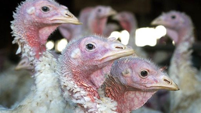 Bird flu, listeria outbreak sparking food safety concerns