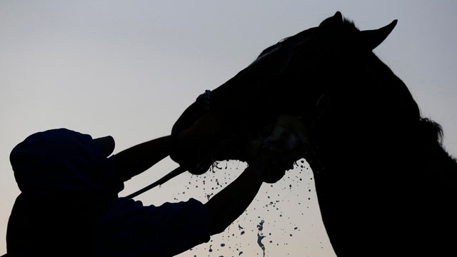 What to expect from the 2015 Kentucky Derby