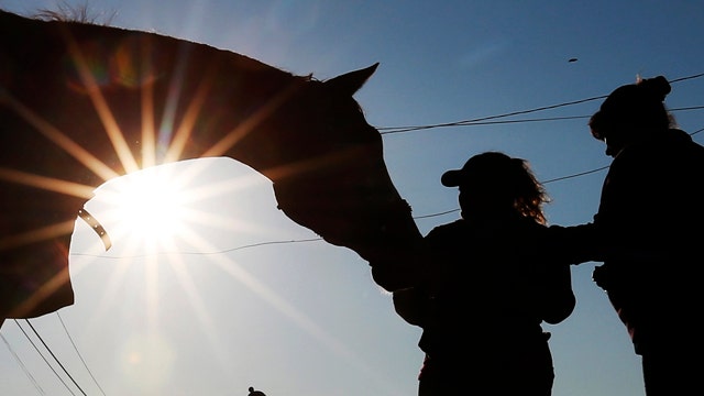 What to expect from the 2015 Kentucky Derby