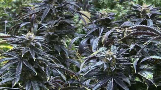 New bill would allow medical marijuana in schools