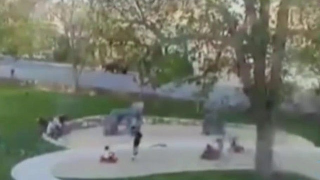 Huge tree crashes down on children playing at park
