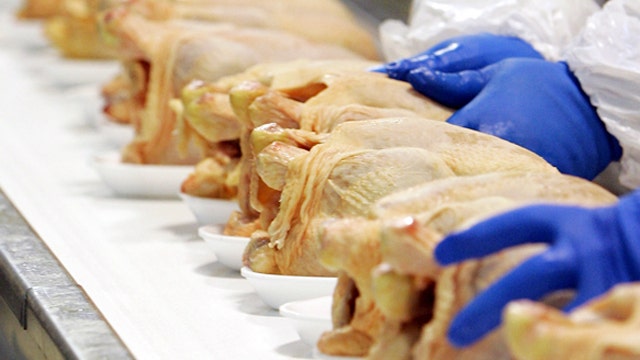 Investigation: 1 in 4 pieces of raw chicken has salmonella