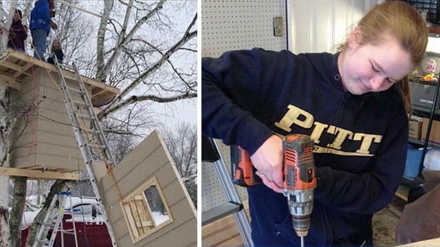 Teen ordered to remove treehouse project