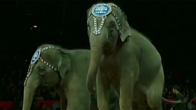 Ringling Brothers Circus to retire its famous show elephants