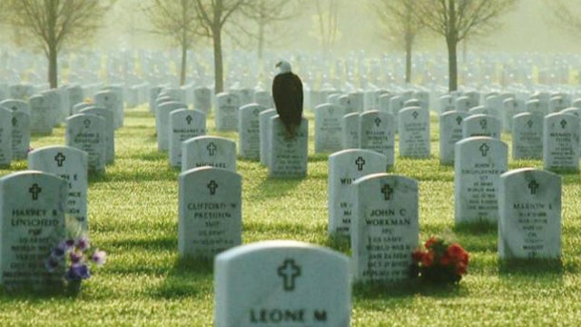 Photographer captures eagle perched on soldier's gravestone