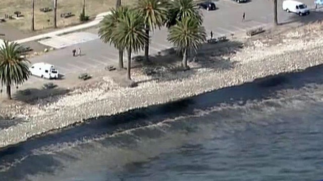 Popular Calif. beaches shut down as oil globs wash ashore