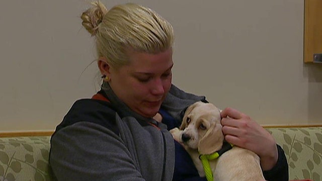 Pet therapy program helping animals, healthcare workers