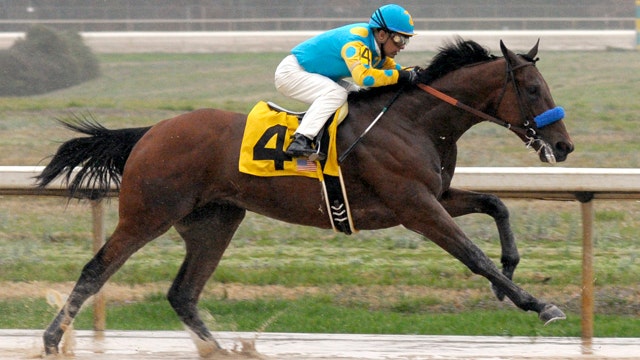 American Pharoah attempts to snag the Triple Crown