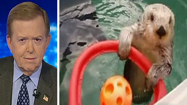 Lou Dobbs reads 'Behold the otter' 