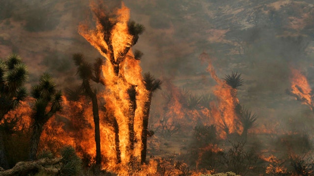 Drought-stricken California at high risk for wildfires