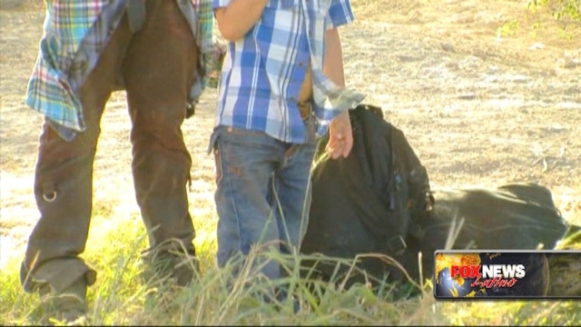 The border surge, a year later