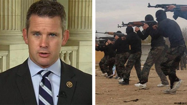 Kinzinger: Special Forces raids needed in ISIS fight