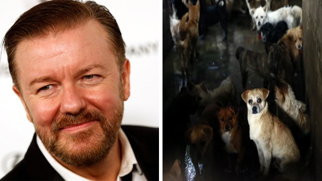 Gervais slams China dog-eating festival