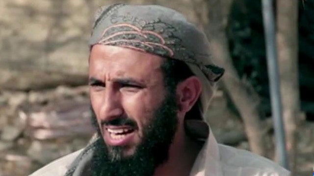 Expert: Head of the snake strategy won't stop Al Qaeda