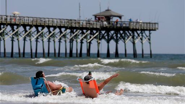 Experts examine 'very unusual' surge of shark activity in NC