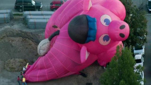 Pilot escapes after pig-shaped hot air balloon crashes