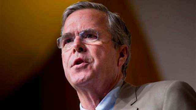 After the Buzz: Jeb's riches under microscope