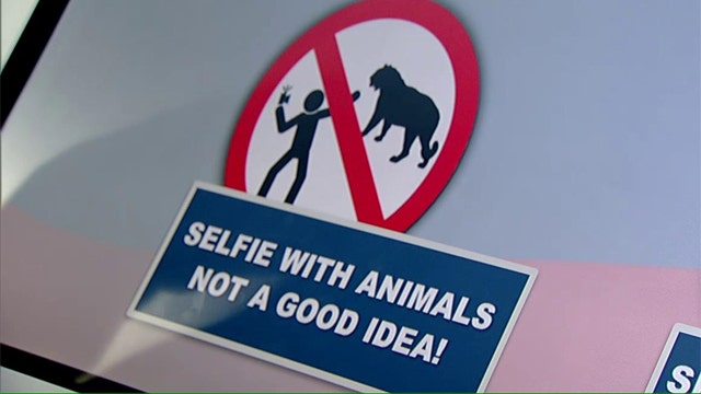 Death by selfie? Russian police issue guide to staying safe