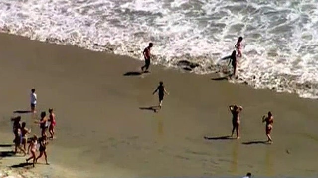 California beach shutdown after shark bumps surfboard