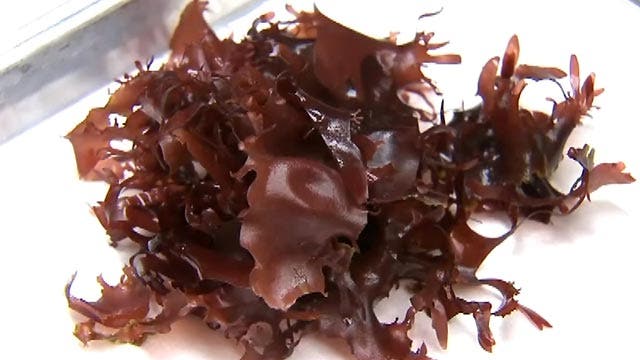 Bacon-flavored seaweed a healthier alternative?